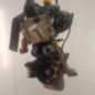 Moteur RENAULT TWINGO 1