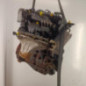 Moteur RENAULT TWINGO 2