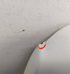 Porte de coffre gauche FIAT SCUDO 2 Photo n°3