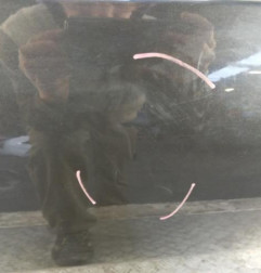 Porte arriere droit DACIA DUSTER 1 Photo n°3