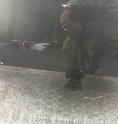 Porte arriere gauche DACIA DUSTER 1 Photo n°3