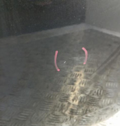 Porte avant droit DACIA DUSTER 1