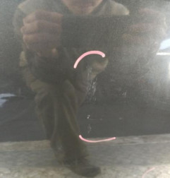 Porte avant droit DACIA DUSTER 1 Photo n°4