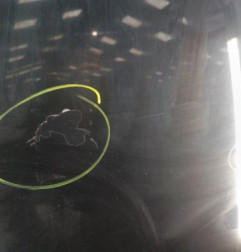 Capot BMW SERIE 3 E46