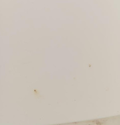 Aile avant droit FORD TRANSIT 4 Photo n°3