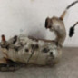 Catalyseur (echappement) RENAULT KANGOO 2