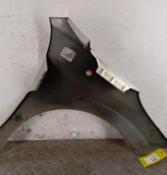 Aile avant gauche PEUGEOT 207 Photo n°6