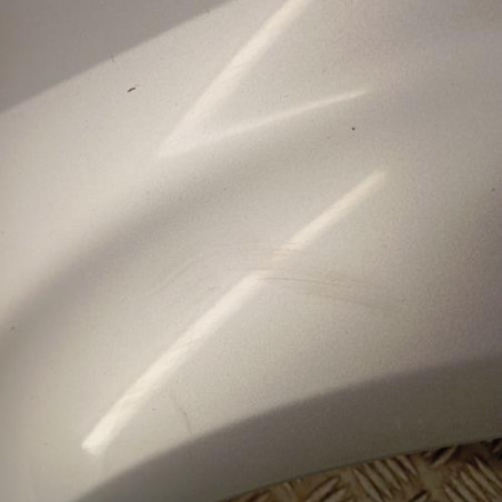 Aile avant gauche RENAULT SCENIC 2