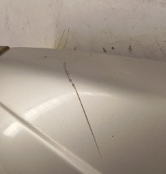 Aile avant gauche CITROEN C15 Photo n°6