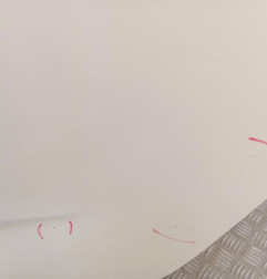 Porte arriere gauche CITROEN C4 PICASSO 2 Photo n°3