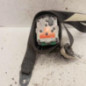 Ceinture avant droit PEUGEOT PARTNER 2