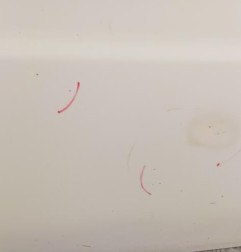 Porte laterale droit PEUGEOT BOXER 1 Photo n°6