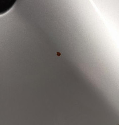 Porte arriere gauche PEUGEOT 208 1 Photo n°6