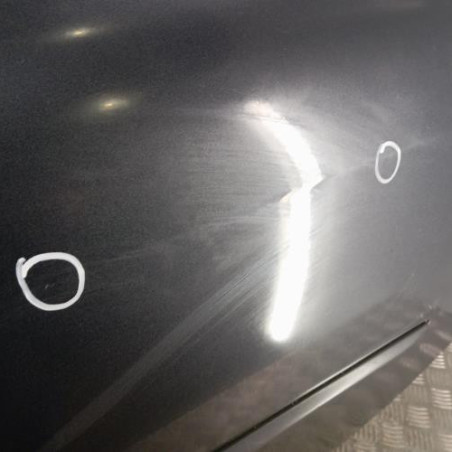 Porte arriere gauche RENAULT CLIO 3