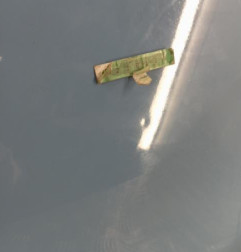 Porte arriere droit KIA PICANTO 2 Photo n°4