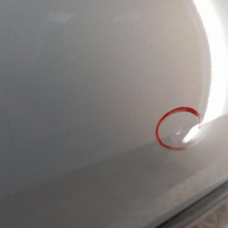 Porte avant droit RENAULT MEGANE 2