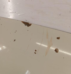 Capot VOLKSWAGEN TRANSPORTER 5 Photo n°3