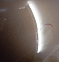 Porte avant droit RENAULT GRAND SCENIC 3 Photo n°3