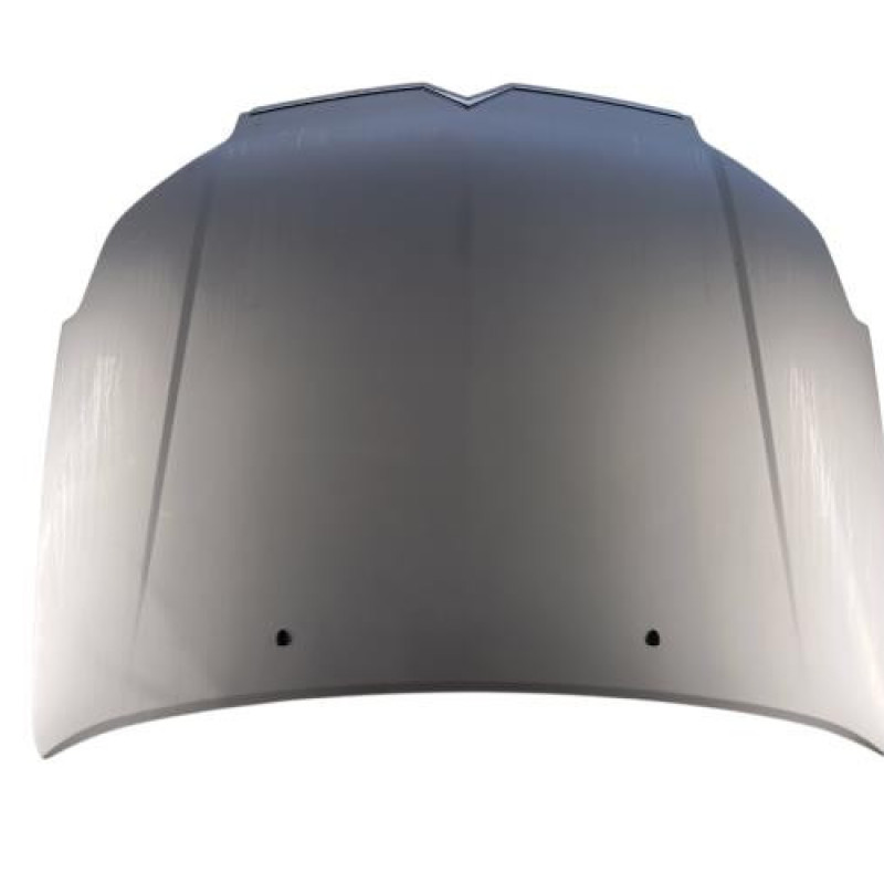 Capot CITROEN C5 1 Capot CITROEN C5 1