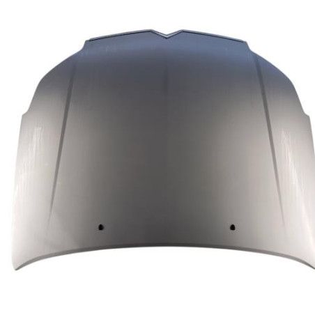 Capot CITROEN C5 1 Photo n°1