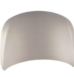 Capot RENAULT LATITUDE Photo n°1