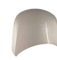 Capot RENAULT LATITUDE Photo n°3