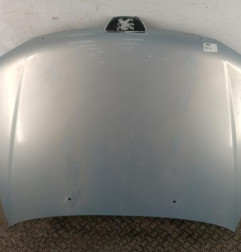 Capot PEUGEOT 306 Photo n°1