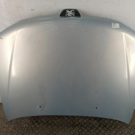 Capot PEUGEOT 306 Photo n°1