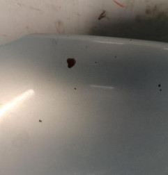 Capot PEUGEOT 306 Photo n°5