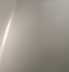 Capot FORD B-MAX Photo n°4