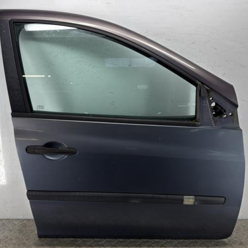 Porte avant droit RENAULT CLIO 3