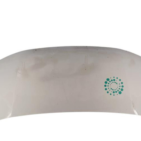 Capot RENAULT MASTER 2 Photo n°1