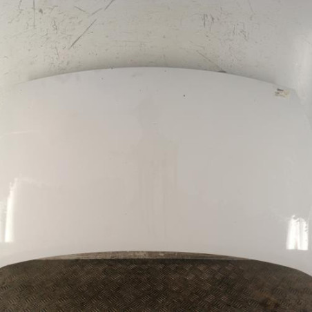 Capot PEUGEOT PARTNER 2 Photo n°1