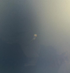 Porte avant droit CITROEN NEMO