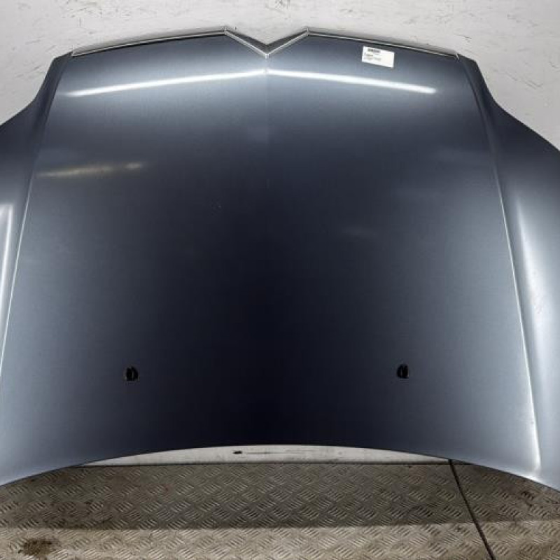 Capot CITROEN C4 1 Capot CITROEN C4 1