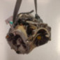 Boite de vitesses RENAULT CLIO 5