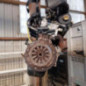 Moteur RENAULT KANGOO 1