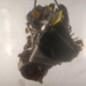 Moteur RENAULT CLIO 4