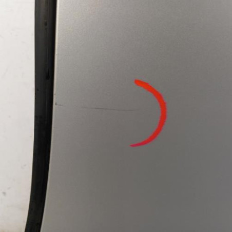 Porte arriere gauche RENAULT SCENIC 4