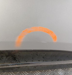 Porte arriere gauche RENAULT SCENIC 4 Photo n°3