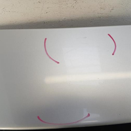 Malle/Hayon arriere PEUGEOT 207