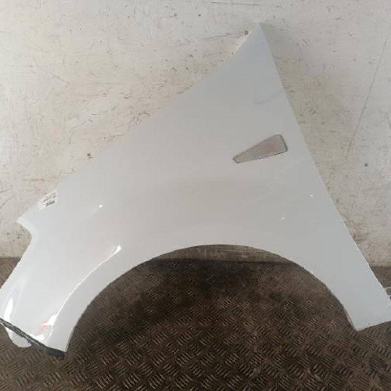 Aile avant gauche DACIA SANDERO 1