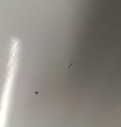 Aile avant gauche RENAULT CLIO 3 Photo n°3