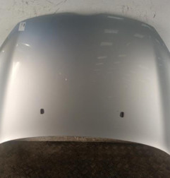 Capot FORD FIESTA 6 Photo n°1