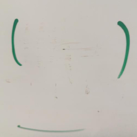 Porte avant gauche DACIA SANDERO 1