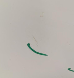 Porte avant gauche DACIA SANDERO 1 Photo n°3