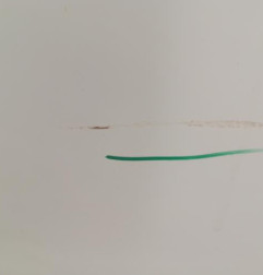 Porte avant gauche DACIA SANDERO 1 Photo n°4