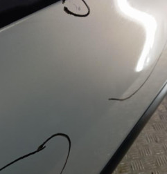 Porte avant gauche RENAULT CLIO 2 Photo n°3