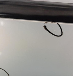 Porte avant gauche RENAULT CLIO 2 Photo n°5