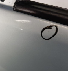 Porte avant gauche CITROEN SAXO Photo n°4